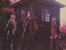 FREEDOM - Through the years - LP 1971 Sommor