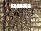 KROKODIL - Swamp - LP Krokodil