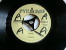 THE MAYTALS-STRUGGLE.VINYL 7