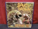 Savoy Brown - Looking In  -  Foghat  -  Reel to Reel   7 1/2  IPS - Sounds Great