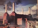 PINK FLOYD 
