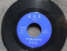 Northern Soul THE AD LIBS New York In the Dark A.G.P. 100 M- listen