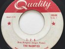 GARAGE PUNK The Haunted 1-2-5 Quality 45 rare Canadian KILLER mod FUZZ monster
