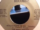 ROOT DOCTOR & VOODOO MEN   WITCHCRAFT IS MY THING   MISTER D RARE FUNK 45
