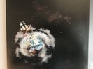 Circa Survive 