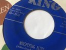 BLUES 45/ PINEY BROWN 