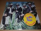 Los Tucanes De Tijuana - No Los Confunda - 1991 - LP - NEW SEALED
