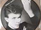 DAVID BOWIE Heroes picture disc limited edition RARE