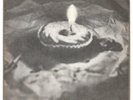 The Birthday Party -