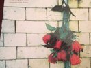 The Pineapple Thief - Variations on a Dream (2017)