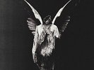 Underoath: Erase Me (180GV: Acid Green Vinyl) LP Explicit Lyrics