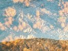 MOON GANGS - Earth Loop - Vinyl (blue vinyl LP + MP3 download code)