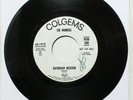 THE MONKEES Daydream Believer 45 Vinyl 1967 Colgems 66-1012 PROMO NM H-334