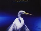 Faith No More - Angel Dust DELUXE 2x 180g vinyl LP IN STOCK NEW/SEALED