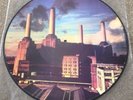 PINK FLOYD Animals Picture Disc Vinyl LP Gilmour Waters Pigs On The Wing Dogs