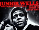 JUNIOR WELLS    