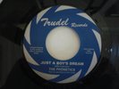 The Phonetics-Just a boys dream- Trudel reissue-Northern soul