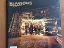 Blossoms Lp Gatefold Vinyl Album -Website Ltd 2016 release - Signed & No.d