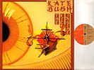 KATE BUSH the kick inside (original uk press) LP EX-/VG+ EMC 3223 art rock 1978