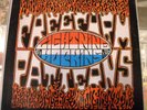 LP LIGHTNIN HOPKINS - FREE FORM PATTERNS IA -LP-6 STEREO 13th FLOOR ELEVATORS 68