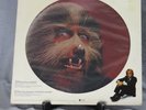 Warren Zevon Werewolves Of London Picture Disc 12