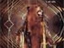 It Still Moves [Vinyl LP] My Morning Jacket (Used - Like New Unplayed)