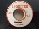 SUZAN CARDOGAN/FEVER UPSETTER REGGAE 45