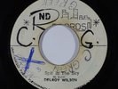 Reggae 45 DELROY WILSON/SKATALITES Spit In The Sky/Black Sunday on ND