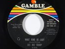 Northern Soul 45 DEE DEE SHARP What Kind Of Lady/You're Gonna Miss Me on Gamble