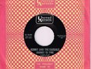 KENNY AND THE KASUALS Journey To Tyme b/w I'm Gonna....1966 45 RPM UA-50,085 EX