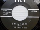 TREND-ELS vg++ TILT doowop 45 I'm So Young / Don't You Hear Me Calling dm1081