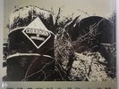 Technocracy Corrosion of Conformity  1987 L.P. Death Records 88561 Thrash/Metal
