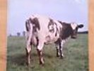 Pink Floyd, Atom Heart Mother, EMI Studios, Swedish Pressing, 1970, 1C072-04550
