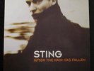 Sting - After The Rain Has Fallen 12