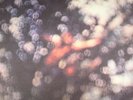 PINK FLOYD - Obscured By Clouds (remastered) - Vinyl (180 gram vinyl LP)
