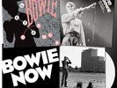 DAVID BOWIE - 'NOW' WHITE VINYL LP RSD 2018 - NEW & SEALED