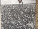CRASS,   The Feeding Of The Five Thousand ... 1978 12