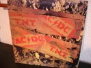 AC/DC  T.N.T  org.Australian 1st.Press. in Top-Condition Albert Productions
