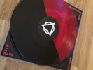 Enter Shikari Vinyl - Race Race paddington frisk - FIRST PRESSING