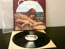 The Grateful Dead Wake of the Flood 12