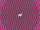 Deerhunter - Cryptograms | Fluorescent Grey Vinyl LP Kranky NEU