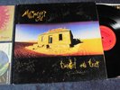 MIDNIGHT OIL Diesel and Dust FULLY SIGNED IN 1993 NM LP w/ extras GREENPEACE