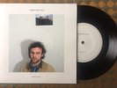 RARE Amen Dunes Ethios Covers 7” Ethio Song 45