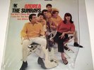 THE SUNRAYS Andrea 1966 Stereo Tower Lp in Shrink NM Unplayed Beauty  Beach Boys