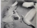 Donald Byrd Free Form Blue Note BST 84118 Sealed copy