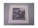 Same [Vinyl-LP]. Enya: