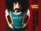 FRANK ZAPPA-FRANK ZAPPA:LUMPY GRAVY NEW VINYL RECORD