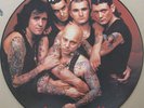 Rose Tattoo - LP Pic Disc - Scarred For Life -1982 Carrere CALP 144- IMMACULATE