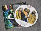 Led Zeppelin - Kashmir LTD Edn Pic LP Picture Disc Vinyl Record Rare Page Plant