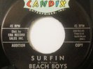 THE BEACH BOYS 
